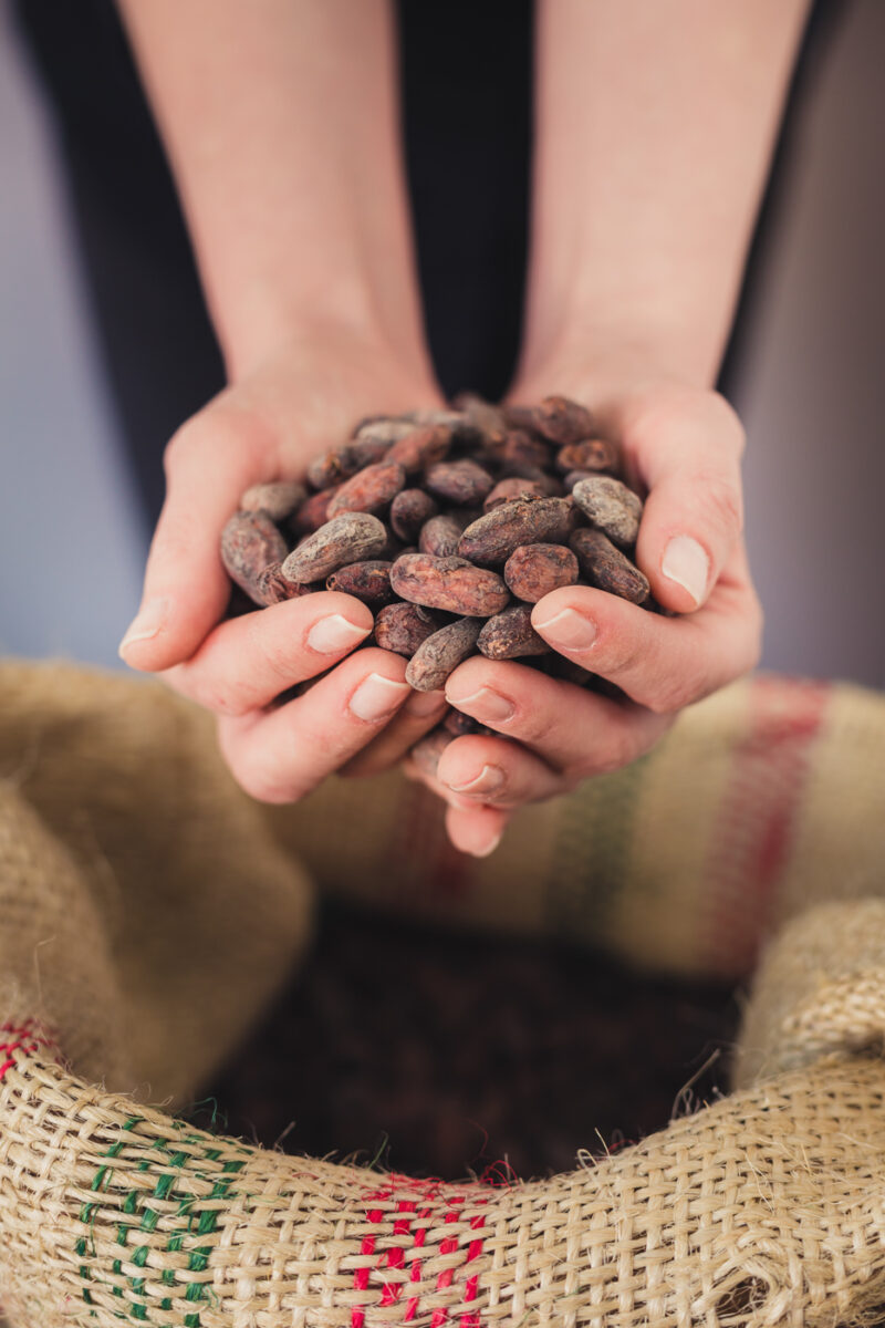 fotografie mestesugari