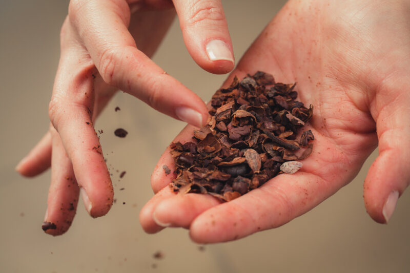 fotografie mestesugari